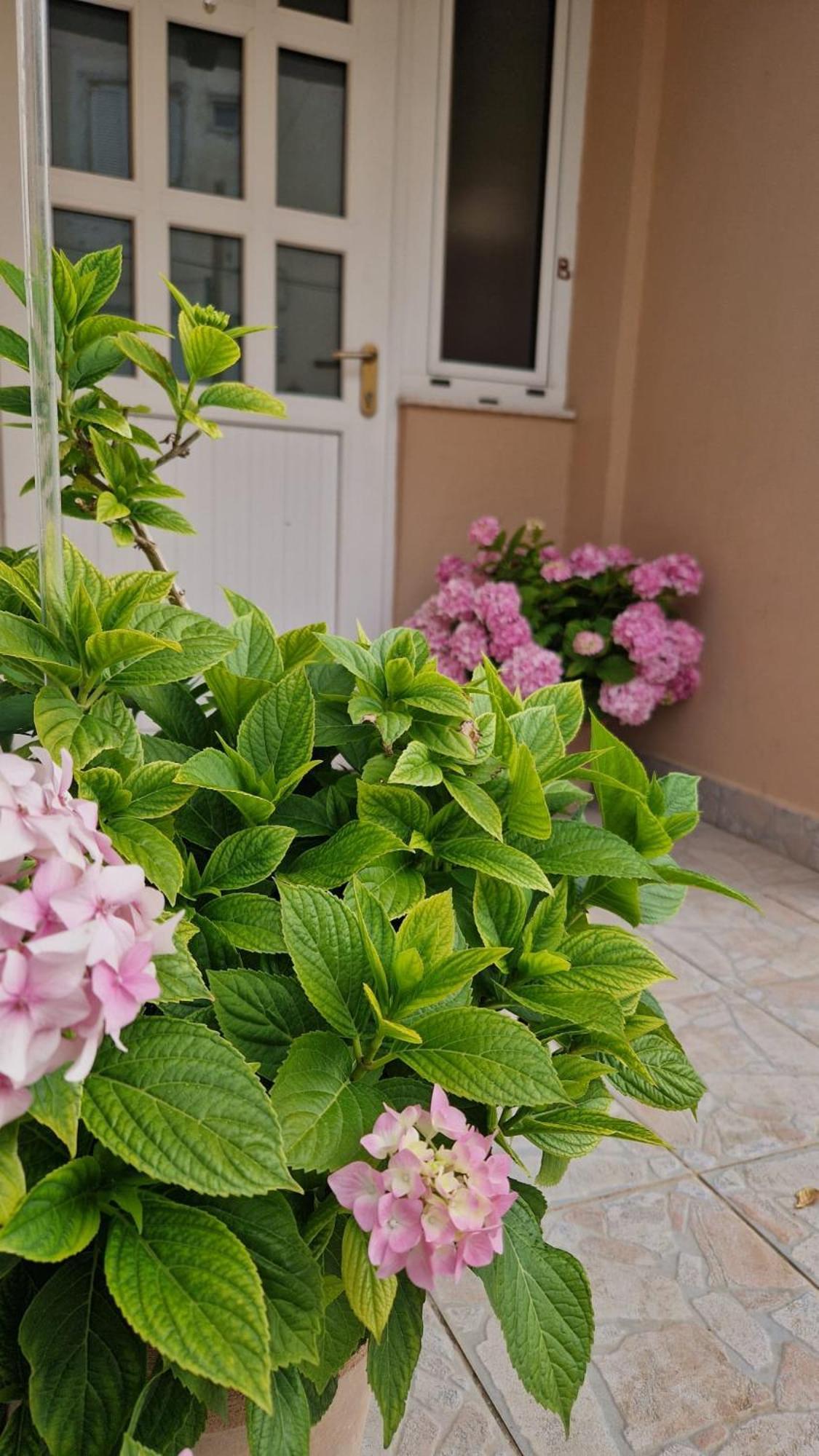Apartment Lucka Раб Екстериор снимка